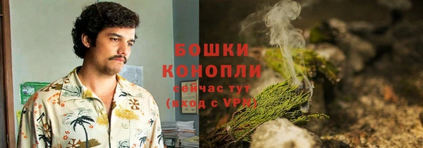 соль ск Нея
