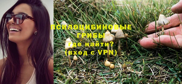 мескалин Нефтегорск