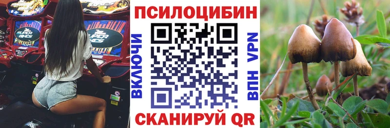мориарти наркотические препараты  Елизаветинская  Псилоцибиновые грибы GOLDEN TEACHER 
